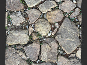 The ground made of stone 3d scan 3D 模型