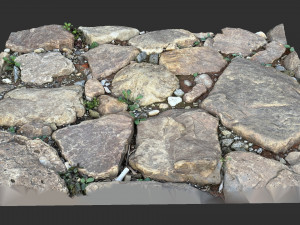 The ground made of stone 3d scan 3D 模型