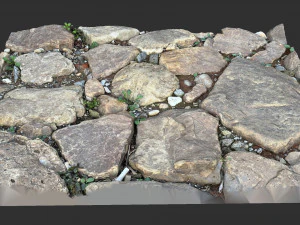 The ground made of stone 3d scan 3D Model