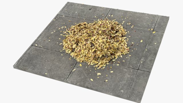 Leaves on the ground 3d scan 3D Model .c4d .max .obj .3ds .fbx .stl .blend 