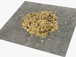 Leaves on the ground 3d scan 3D 모델