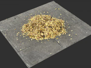 Leaves on the ground 3d scan 3D Model