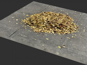 Leaves on the ground 3d scan 3D Model