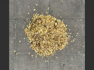 Leaves on the ground 3d scan 3D Model