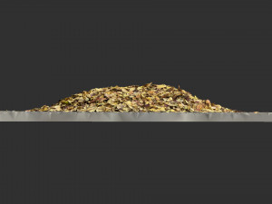 Leaves on the ground 3d scan 3D Model