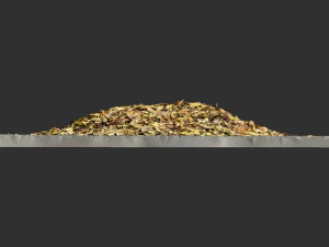 Leaves on the ground 3d scan 3D Model