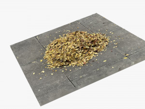 Leaves on the ground 3d scan 3D Model