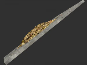 Leaves on the ground 3d scan 3D Model