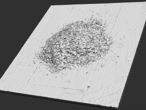 Leaves on the ground 3d scan 3D Model