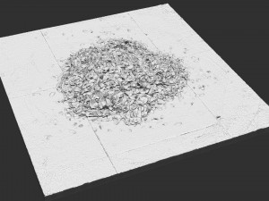 Leaves on the ground 3d scan 3D Model