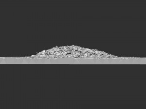 Leaves on the ground 3d scan 3D Model