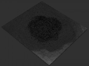 Leaves on the ground 3d scan 3D Model