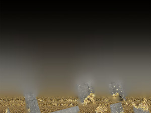 Leaves on the ground 3d scan 3D Model