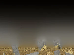 Leaves on the ground 3d scan 3D Model