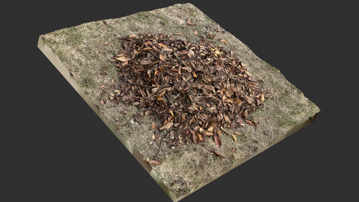 Leaves on the ground 3d scan 3D Model .c4d .max .obj .3ds .fbx .stl .blend
