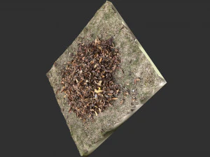 Leaves on the ground 3d scan 3D Model