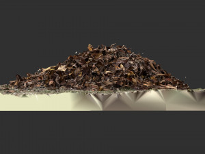 Leaves on the ground 3d scan Modelo 3D