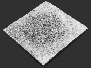 Leaves on the ground 3d scan Modelo 3D