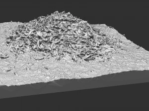 Leaves on the ground 3d scan 3D Model