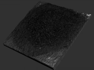 Leaves on the ground 3d scan 3D Model