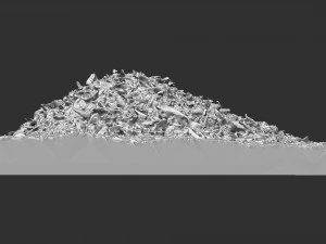 Leaves on the ground 3d scan 3D Model