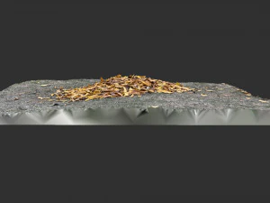 Leaves on the ground 3d scan 3D Model
