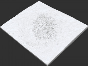 Leaves on the ground 3d scan 3D Model