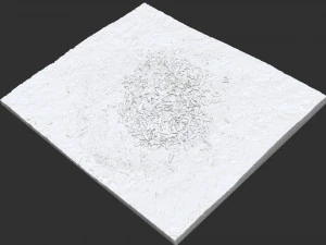 Leaves on the ground 3d scan 3D Model