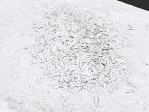 Leaves on the ground 3d scan 3D Model