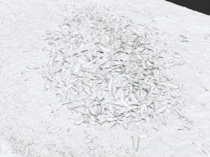 Leaves on the ground 3d scan 3D Model