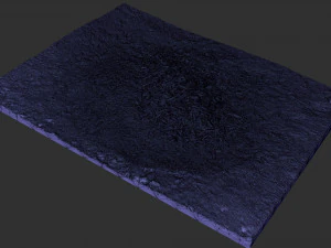 Leaves on the ground 3d scan 3D Model