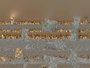 Leaves on the ground 3d scan 3D Model