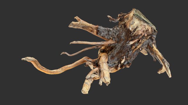 Tree Root 3D Scan Modelo 3D .c4d .max .obj .3ds .fbx .stl .blend 