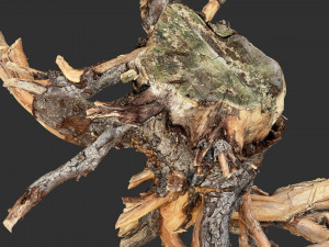 Tree Root 3D Scan Modelo 3D
