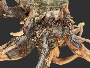 Tree Root 3D Scan Modelo 3D