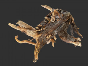 Tree Root 3D Scan Modelo 3D
