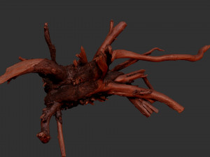 Tree Root 3D Scan Modelo 3D