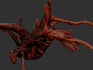 Tree Root 3D Scan Modelo 3D
