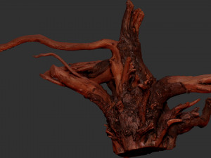 Tree Root 3D Scan Modelo 3D