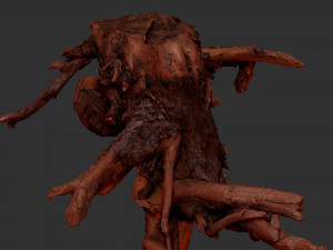 Tree Root 3D Scan Modelo 3D