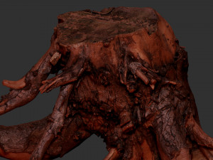 Tree Root 3D Scan Modelo 3D