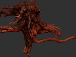 Tree Root 3D Scan Modelo 3D