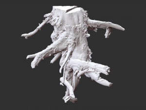 Tree Root 3D Scan Modelo 3D
