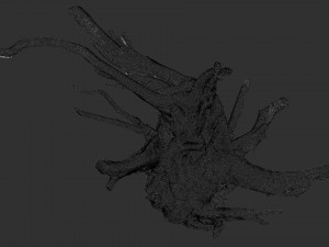Tree Root 3D Scan Modelo 3D