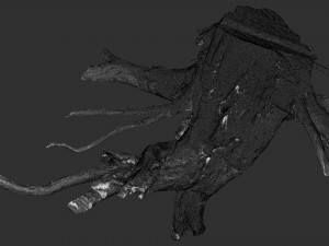 Tree Root 3D Scan Modelo 3D