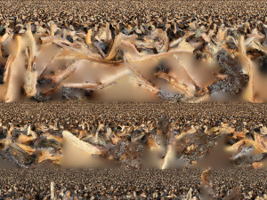 Tree Root 3D Scan Modelo 3D