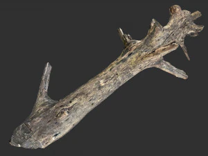 Varredura 3d do tronco de &aacute;rvore Modelo 3D