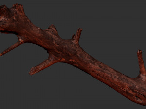 Tree trunk 3d scan 3D 模型