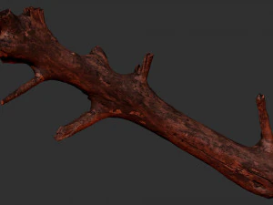 Tree trunk 3d scan 3D Model