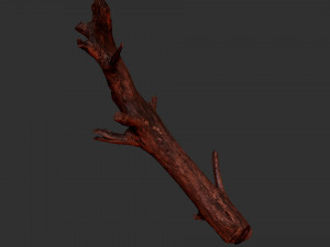 Tree trunk 3d scan 3D 模型